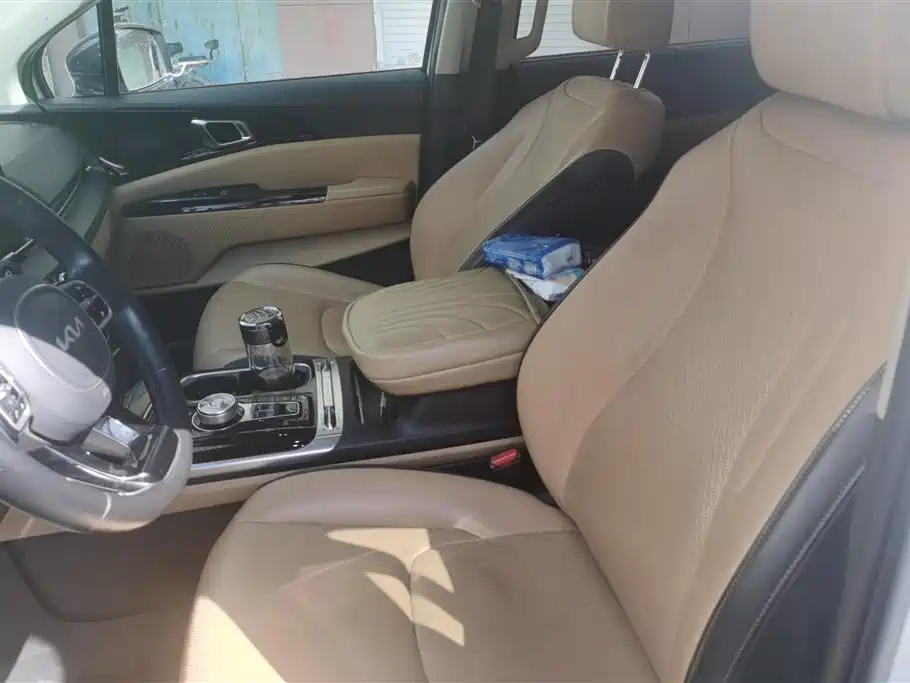 Kia Carnival 2021 2.0T Flagship Edition фото 9