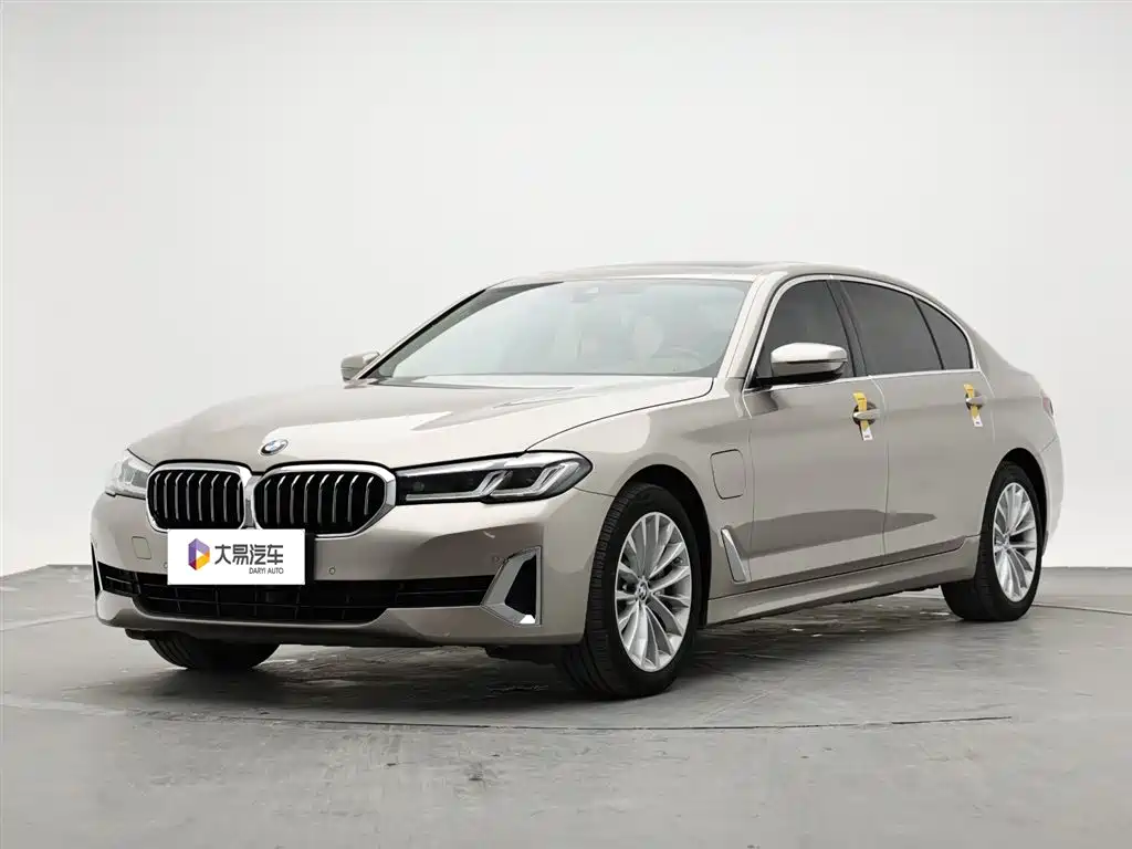 BMW 5 Series New Energy 2021 535Le Luxury Package