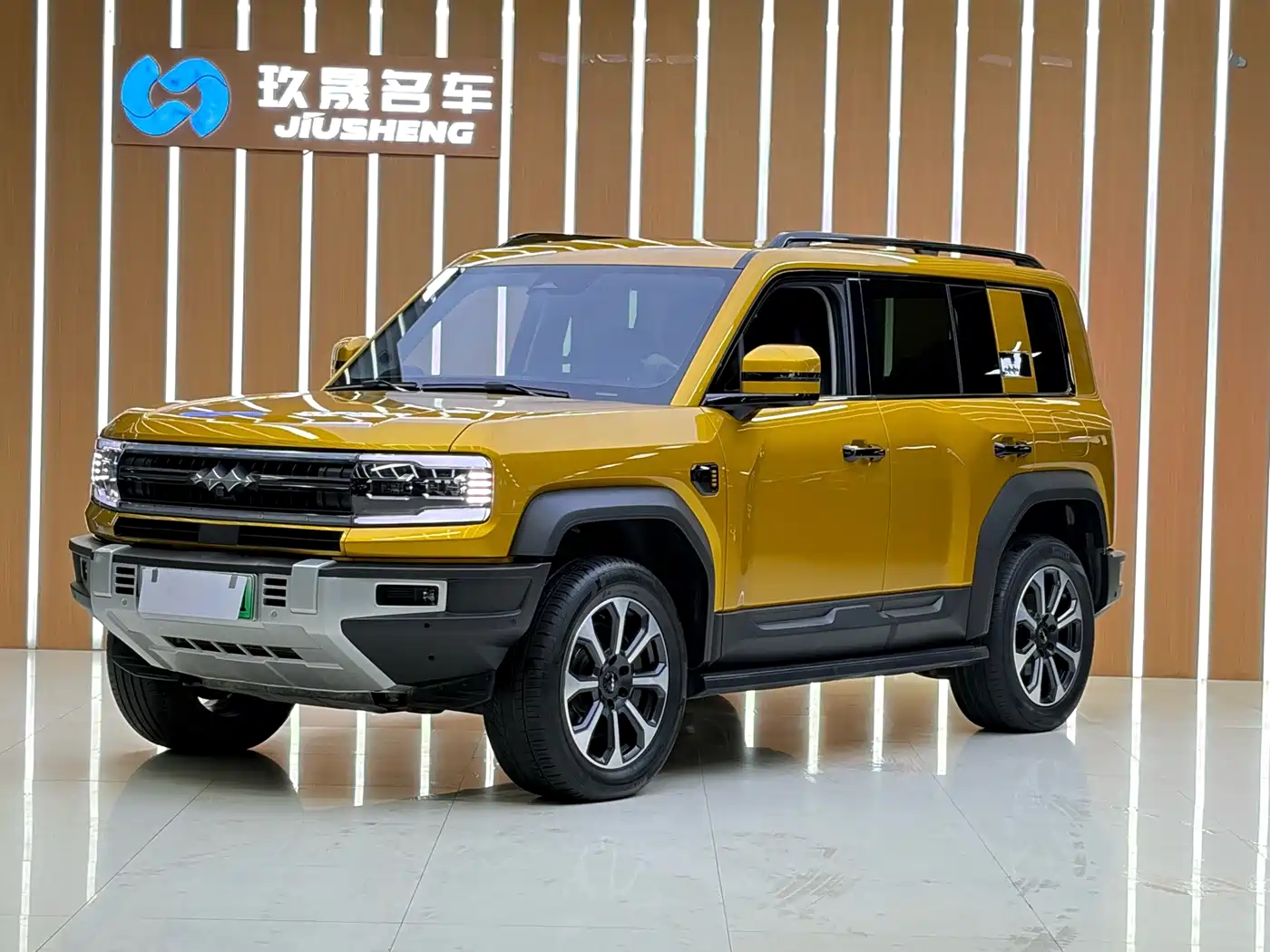 Fang Cheng Bao Leopard 5 2023 Pilot Edition