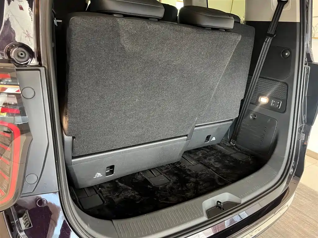 Hongqi HQ9 PHEV 2024 Model 2.0T AWD Luxury Edition фото 10