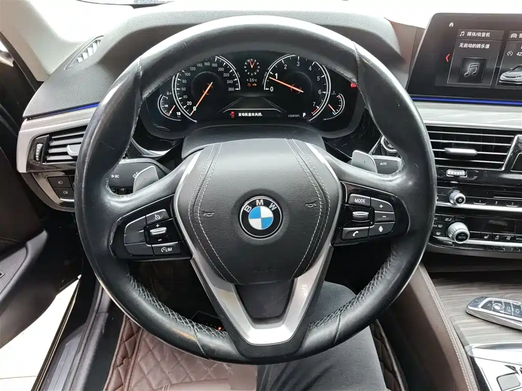 BMW 5 Series 2018 530Li xDrive Luxury Package фото 11