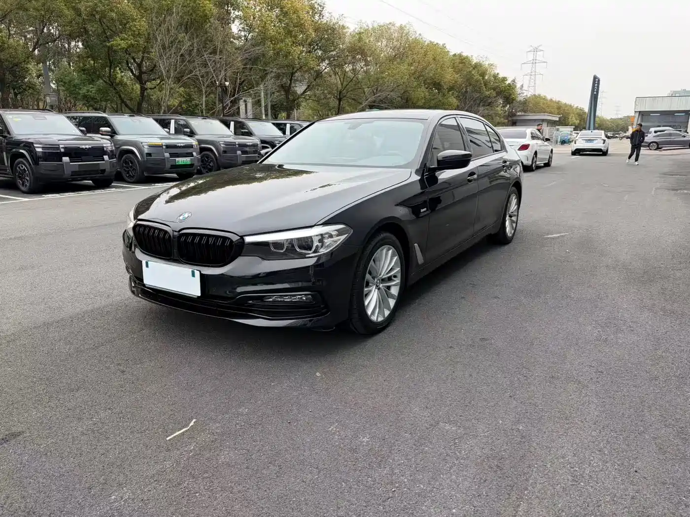 BMW 5 Series 2019 530Li Premium Luxury Package