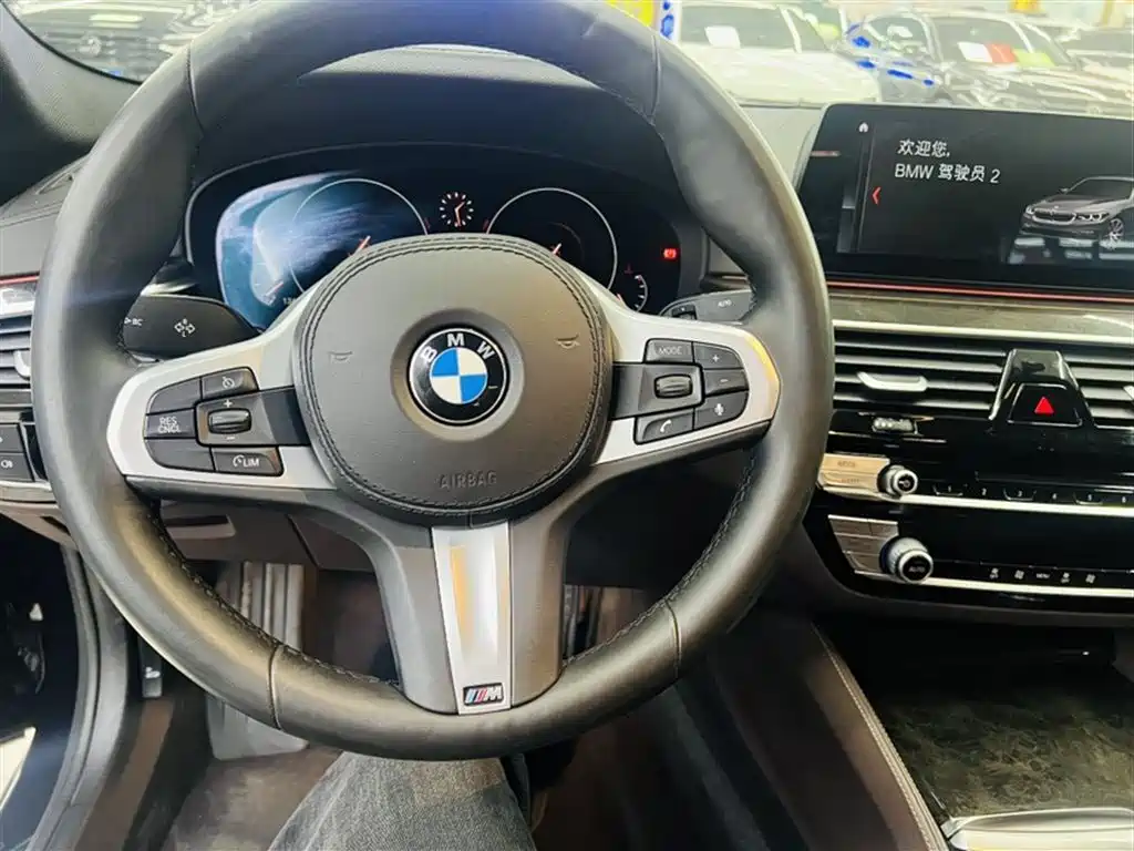 BMW 5 Series 2019 525Li M Sport Package фото 11