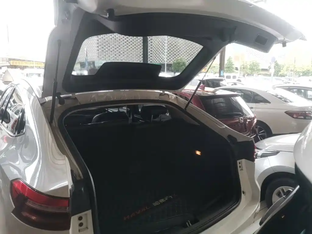 Фото 19 - Haval F7x