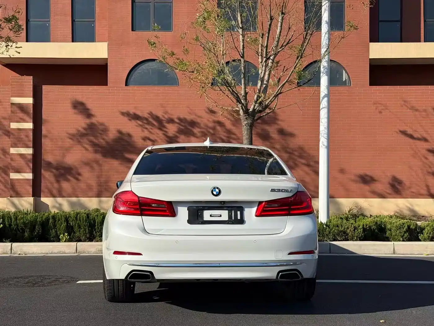BMW 5 Series 2019 530Li Leading Luxury Package фото 8