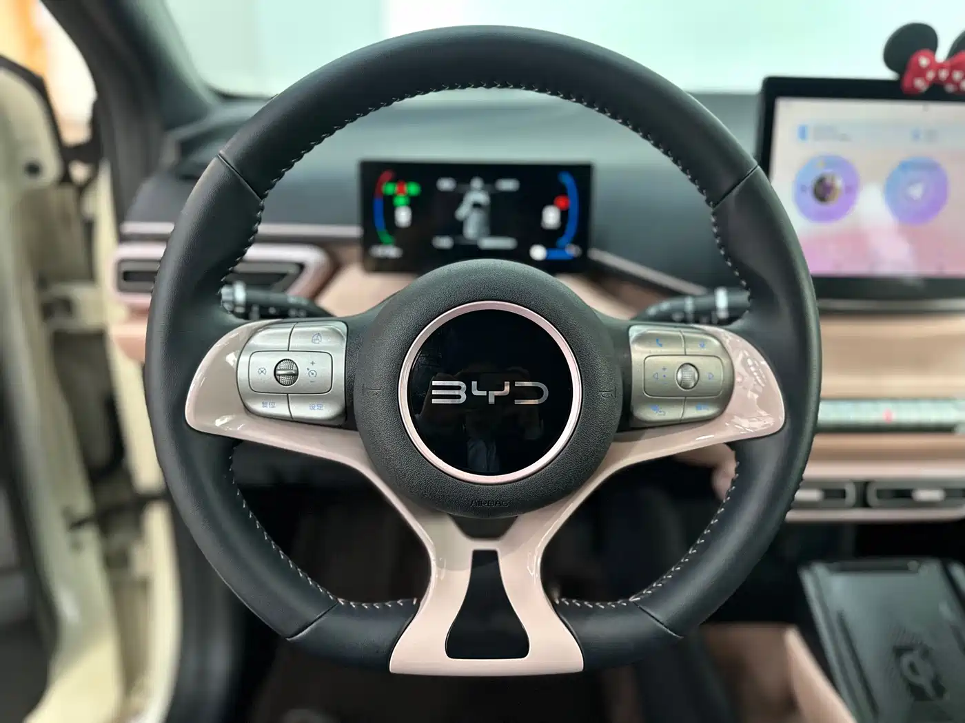 BYD Seagull 2024 Glory Edition 305km Freedom Edition фото 8