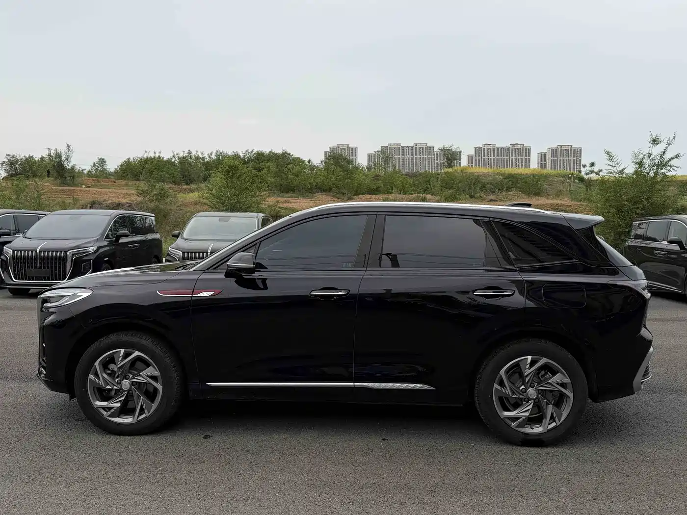 Hongqi HS3 PHEV 2024 PHEV 115km Power Edition фото 17