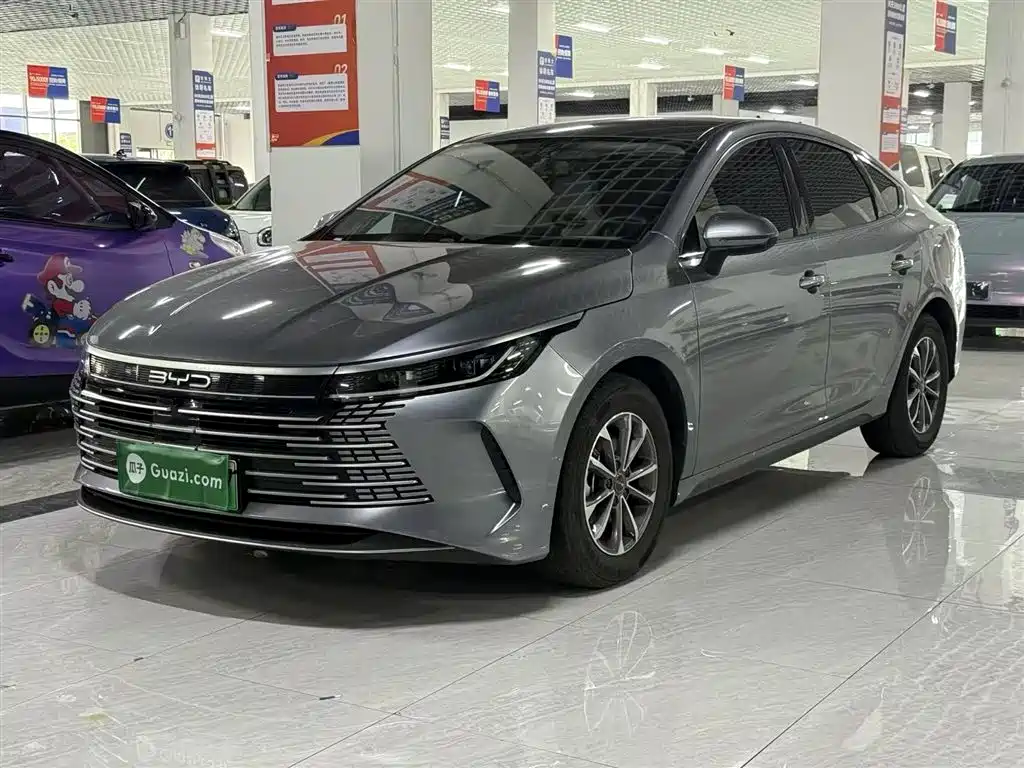 BYD Destroyer 05 2024 Glory Edition DM-i 55KM Luxury
