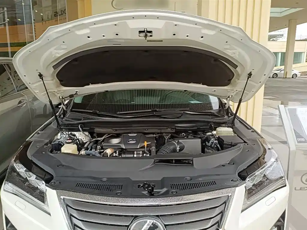Lexus RX 2016 300 4WD Elegance Edition (China V) фото 20