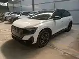 Фото 2 - Audi Q5 e-tron