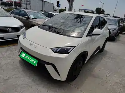 BYD Seagull