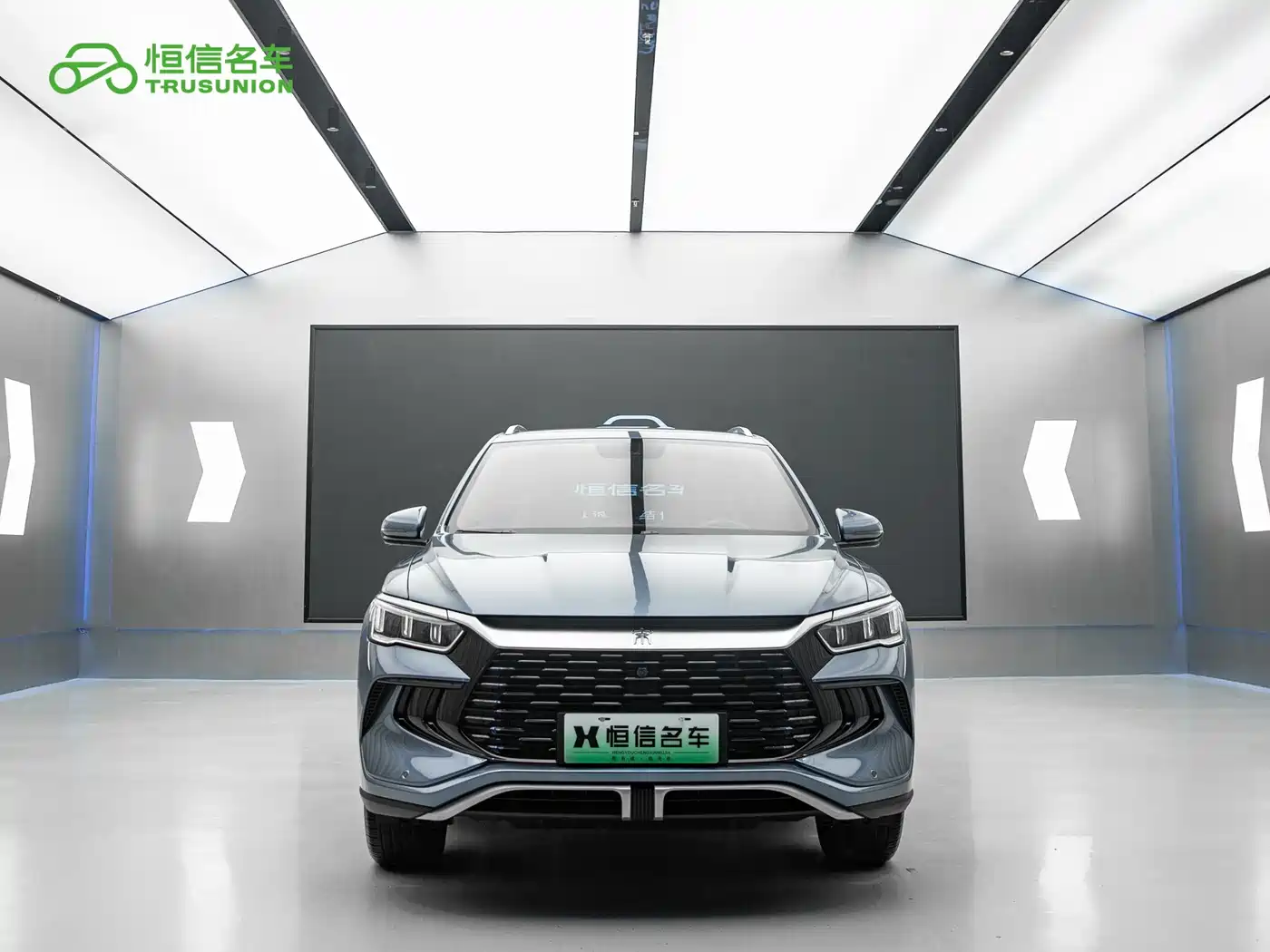 BYD Song Pro New Energy 2024 Glory Edition DM-i 71KM Pilot фото 2