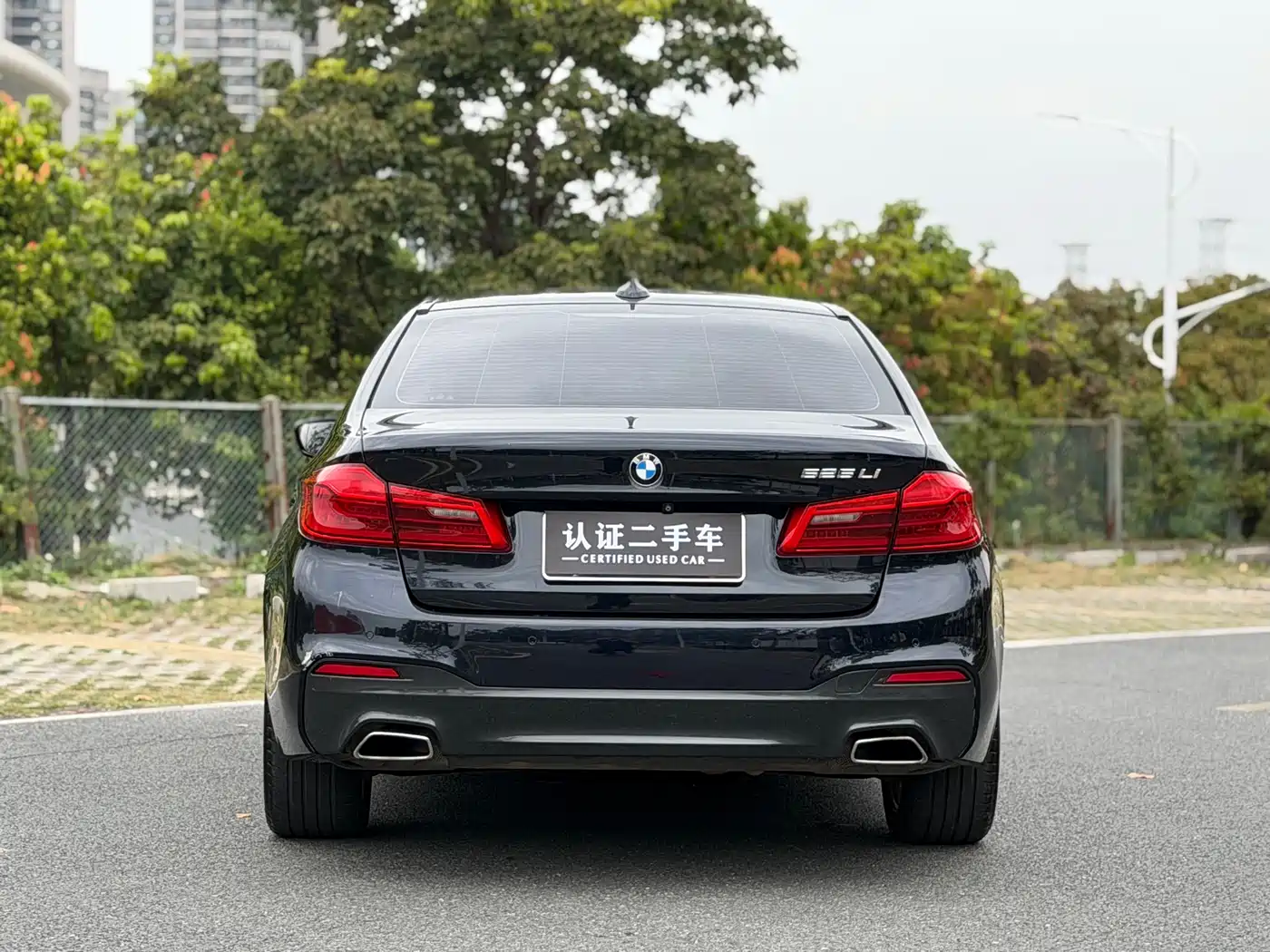 BMW 5 Series 2019 525Li M Sport Package фото 5