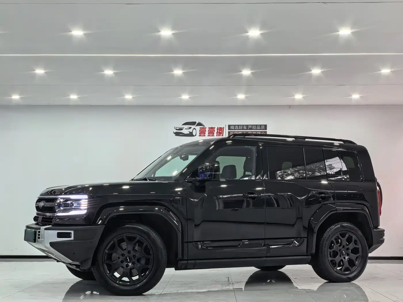 FANG CHENG BAO LEOPARD 5