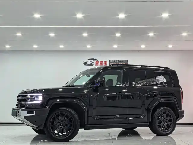 fang-cheng-bao leopard-5