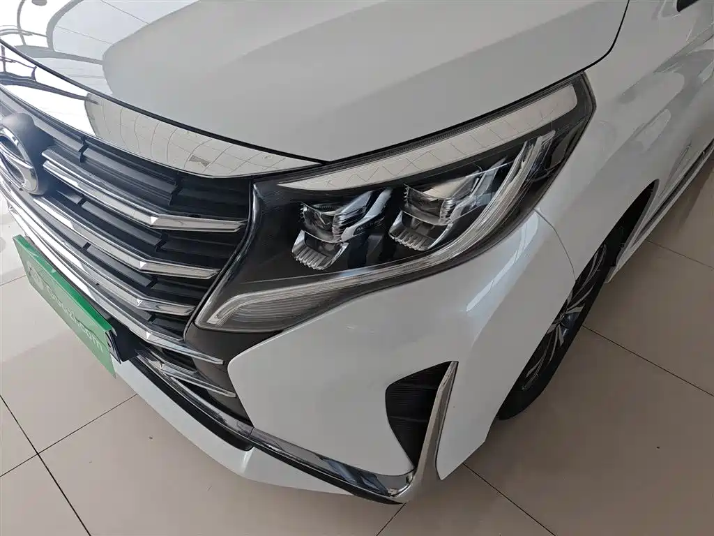 GAC Trumpchi Trumpchi M8 2021 Leading Show Series 390T Premium Edition фото 24