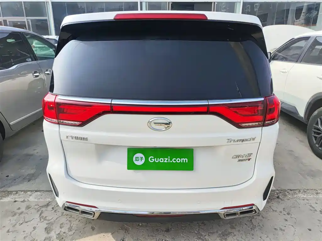 GAC Trumpchi Trumpchi M8 2020 Pilot 390T Premium Edition фото 6
