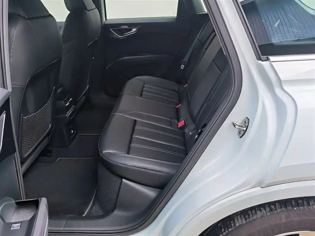 Audi Q4 e-tron 2024 40 e-tron Pioneer Edition фото 26
