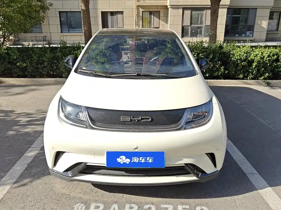 BYD Dolphin 2023 420km Fashion Edition фото 2