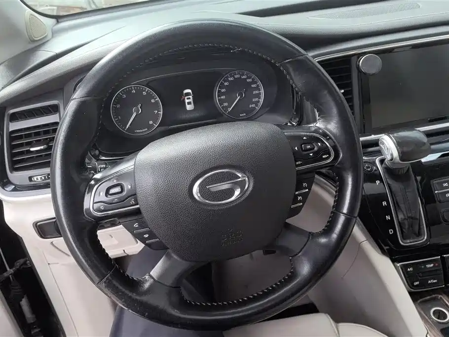 GAC Trumpchi Trumpchi M8 2018 320T Exclusive Edition фото 15