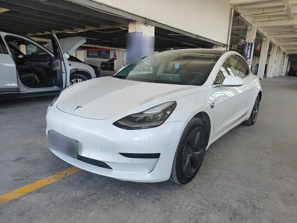Tesla Model 3 2020 2020 Standard Range Rear-Wheel Drive Upgrade