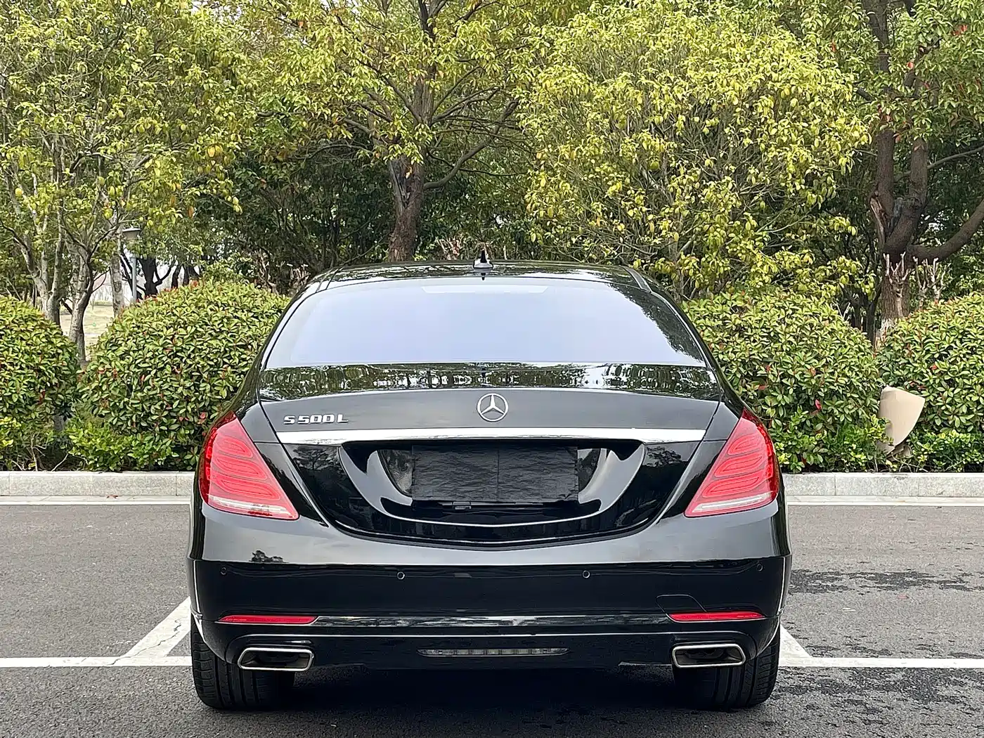 Mercedes-Benz S-Class 2014 S 500 L фото 20