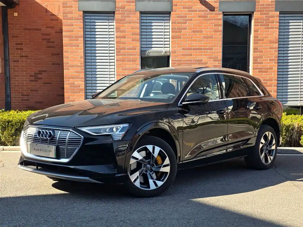 AUDI E TRON