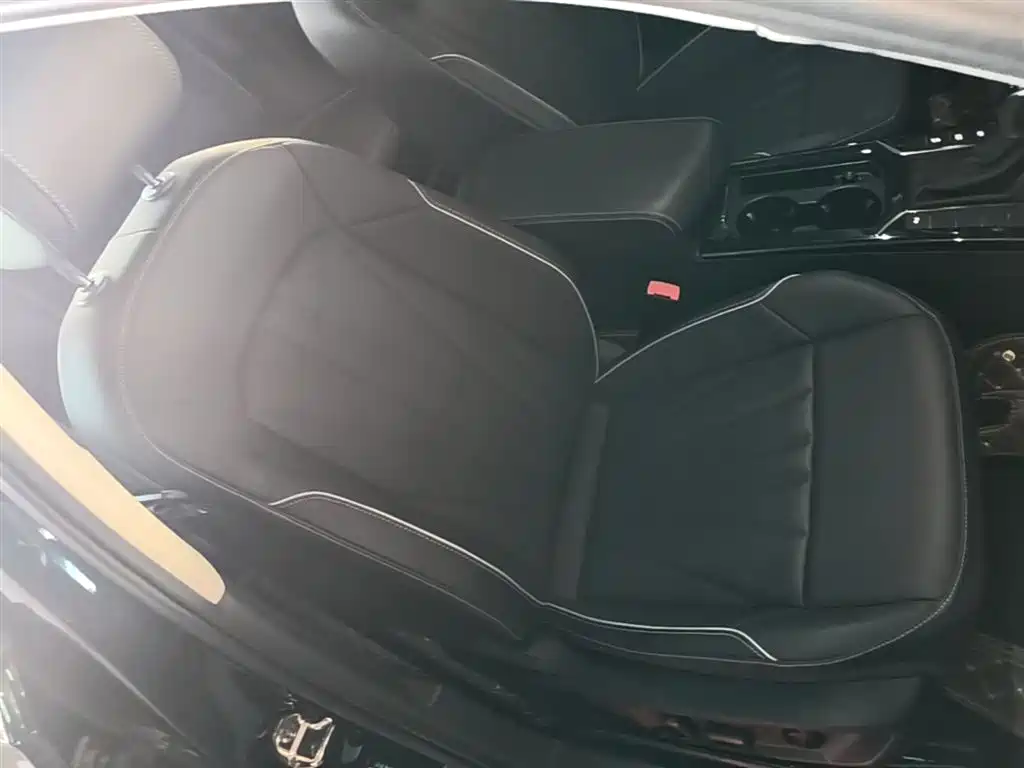 Volkswagen Passat 2024 330TSI Starlight Elite Edition фото 25