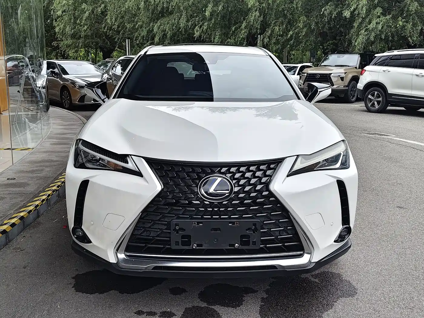 Lexus UX 2022 2020 260h Explore Fun Edition