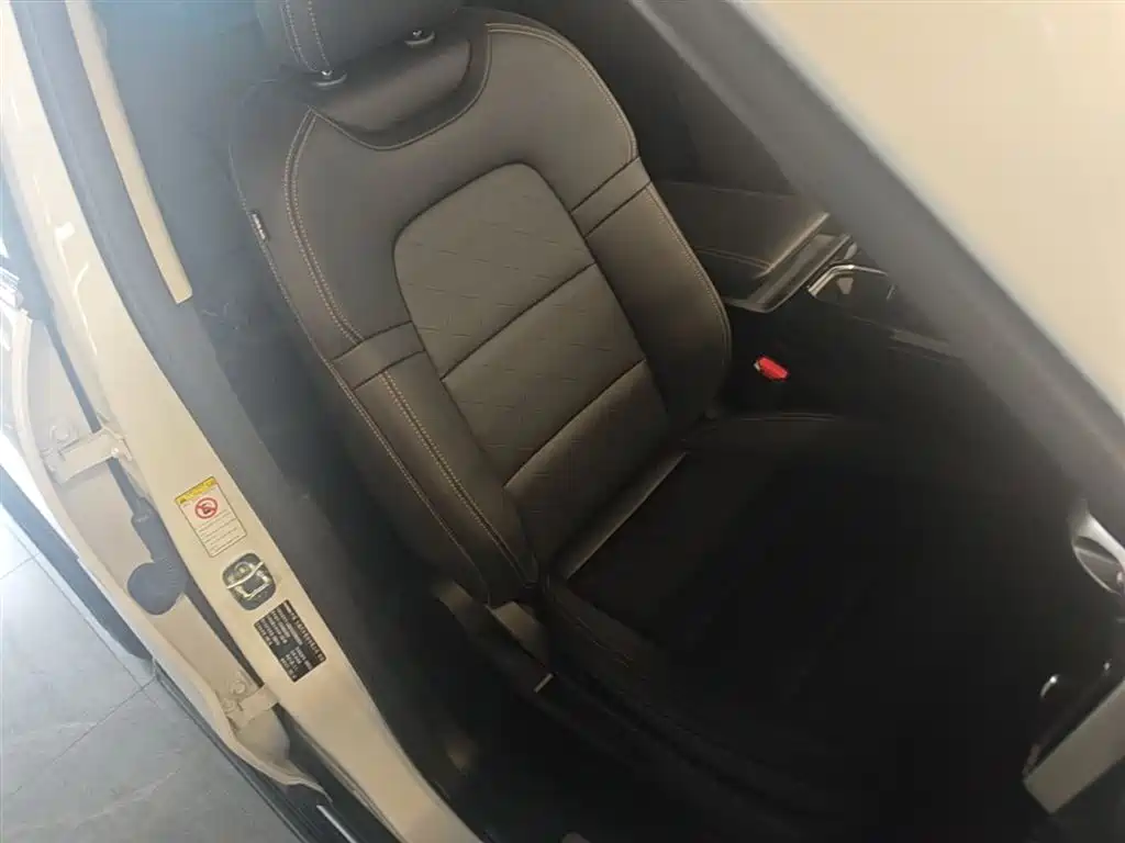 Haval Big Dog 2022 1.5T DCT FWD Border Collie Edition фото 25