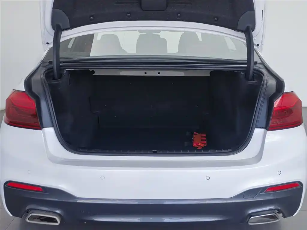 BMW 5 Series 2020 530Li Leading M Sport Package фото 16