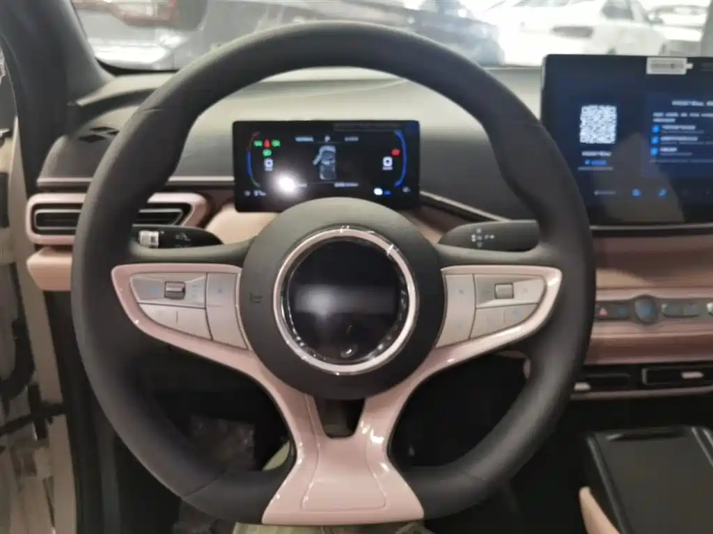 BYD Seagull 2025 Smart Drive Edition 305km Vitality Version фото 11