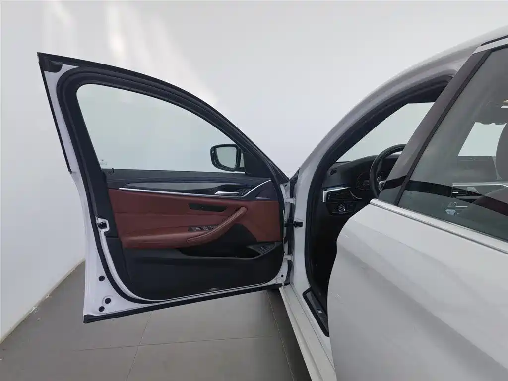 BMW 5 Series 2020 530Li Leading M Sport Package фото 8