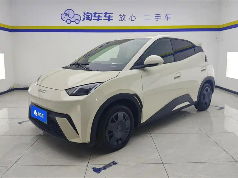 BYD Seagull 2024 Glory Edition 305km Vitality Edition