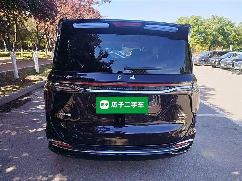 Hongqi HQ9 PHEV 2024 Model 2.0T AWD Luxury Edition фото 4