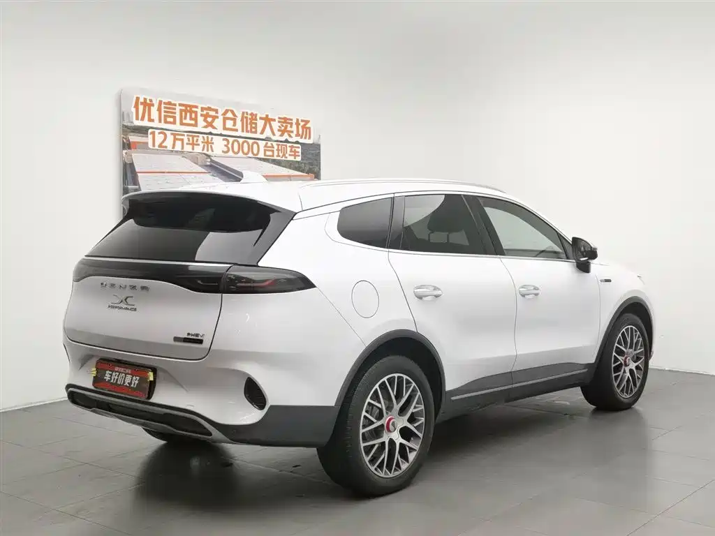 Denza X 2020 PHEV Classic Edition фото 2