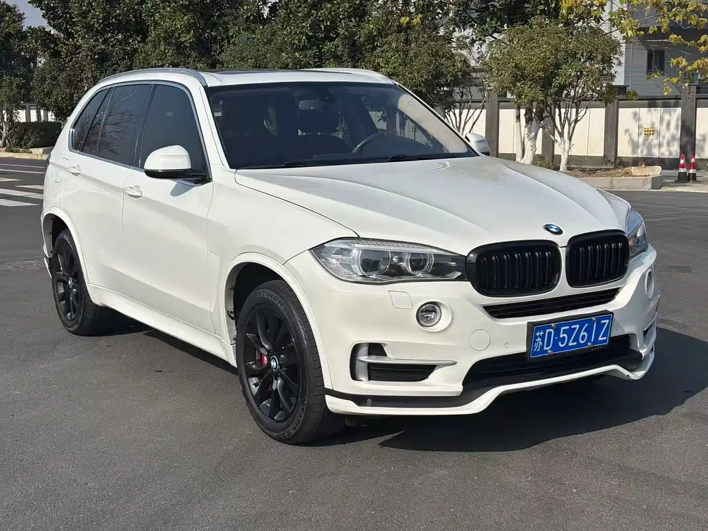 BMW X5 (Import) 2014 xDrive35i Elegance фото 3