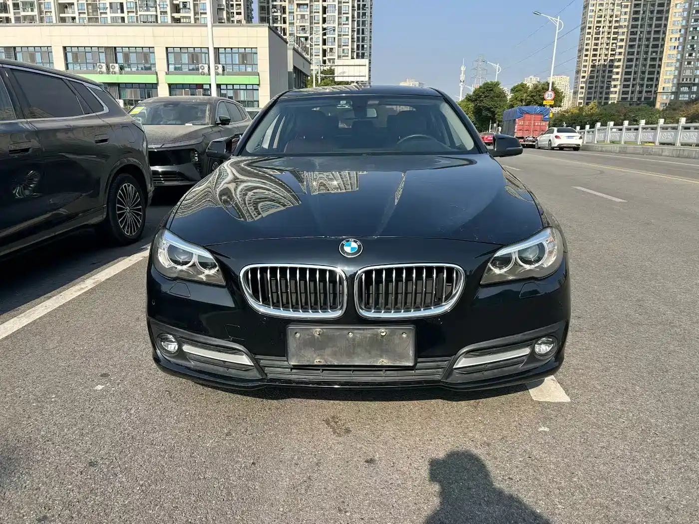 BMW 5 Series 2014 525Li Leading