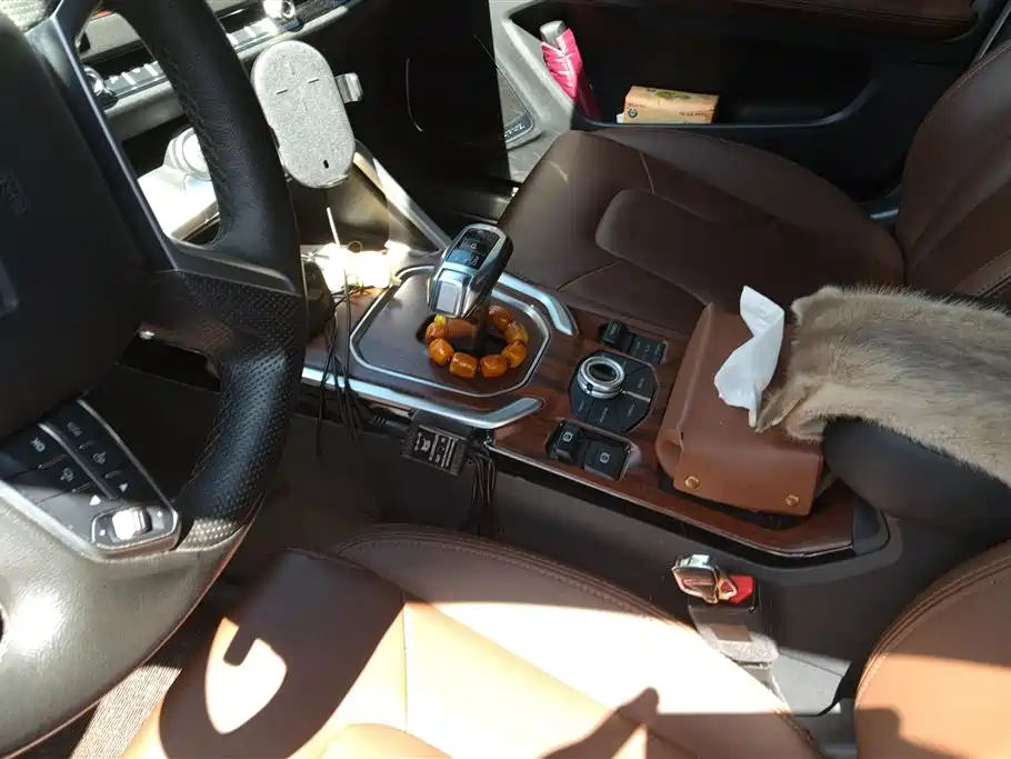Haval H6 2017 Blue Label 2.0T Auto 2WD Leader фото 16
