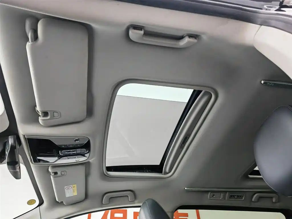 GAC Trumpchi Trumpchi M8 2021 Master Series 390T Prestige Edition фото 14