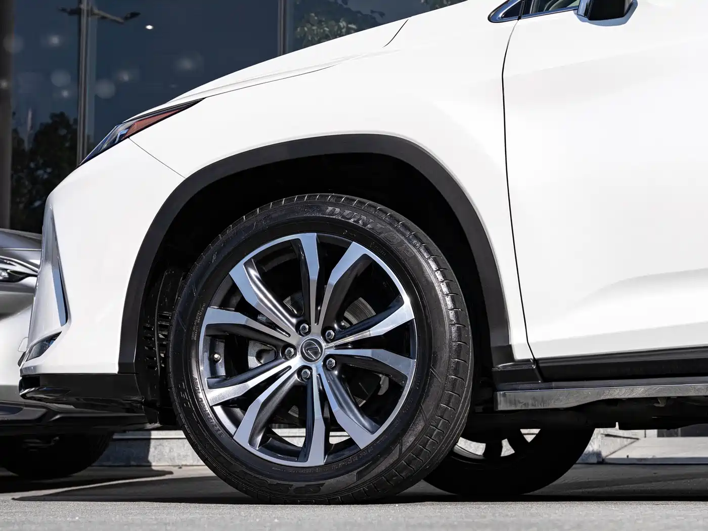 Lexus RX 2021 300 AWD Special Edition фото 8
