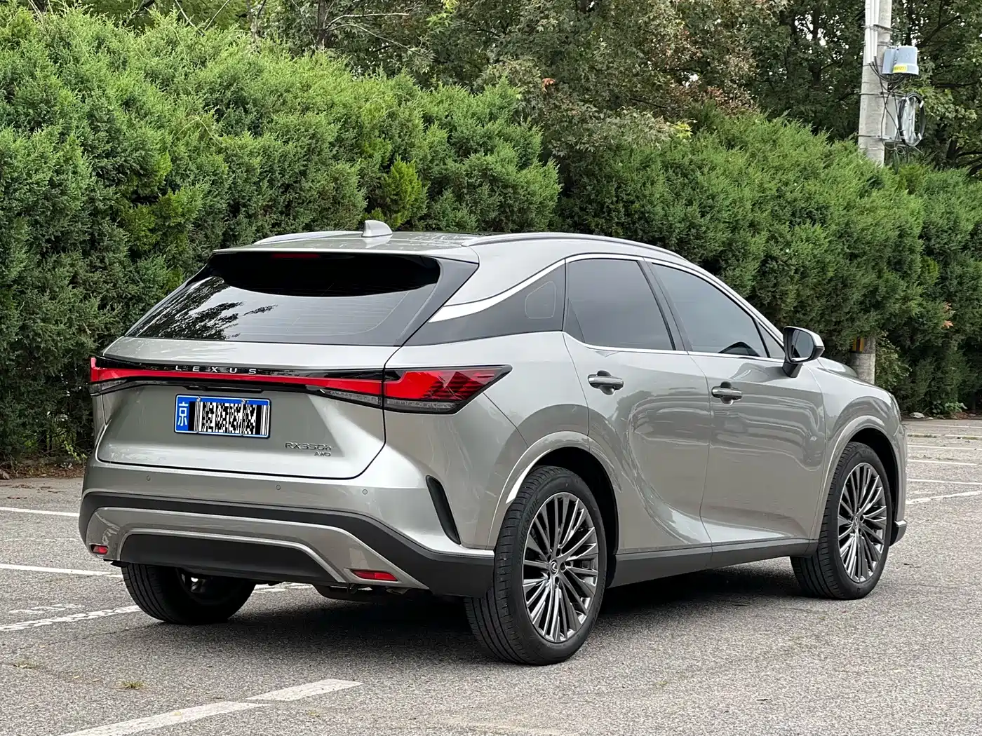 Lexus RX 2025 2025 350h 4WD Premium Edition