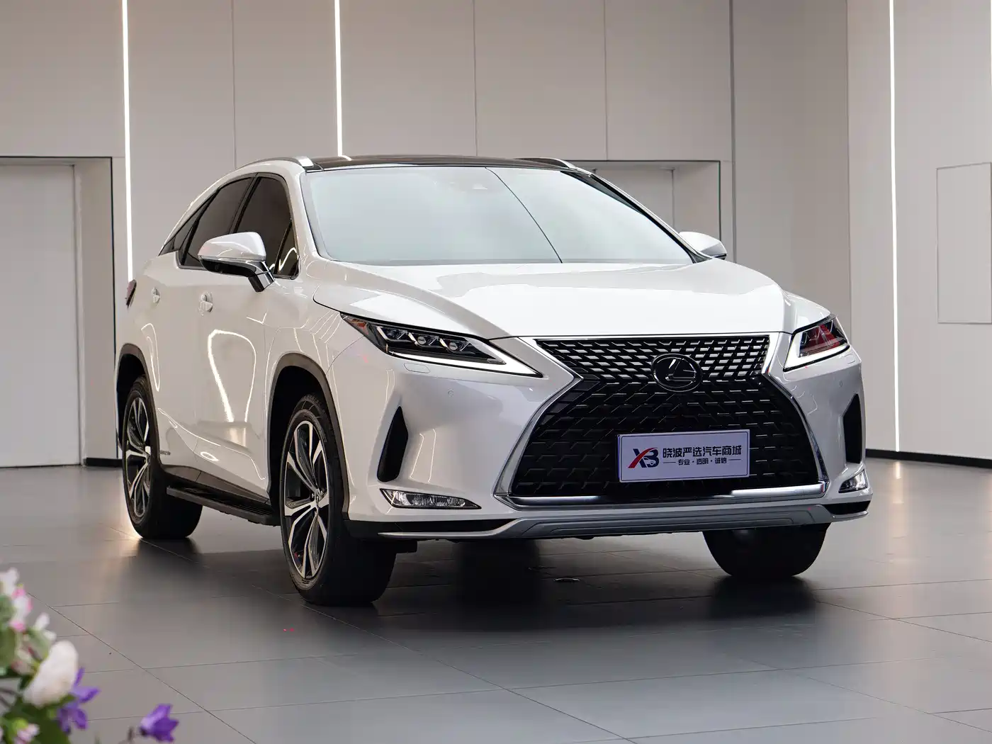 LEXUS RX