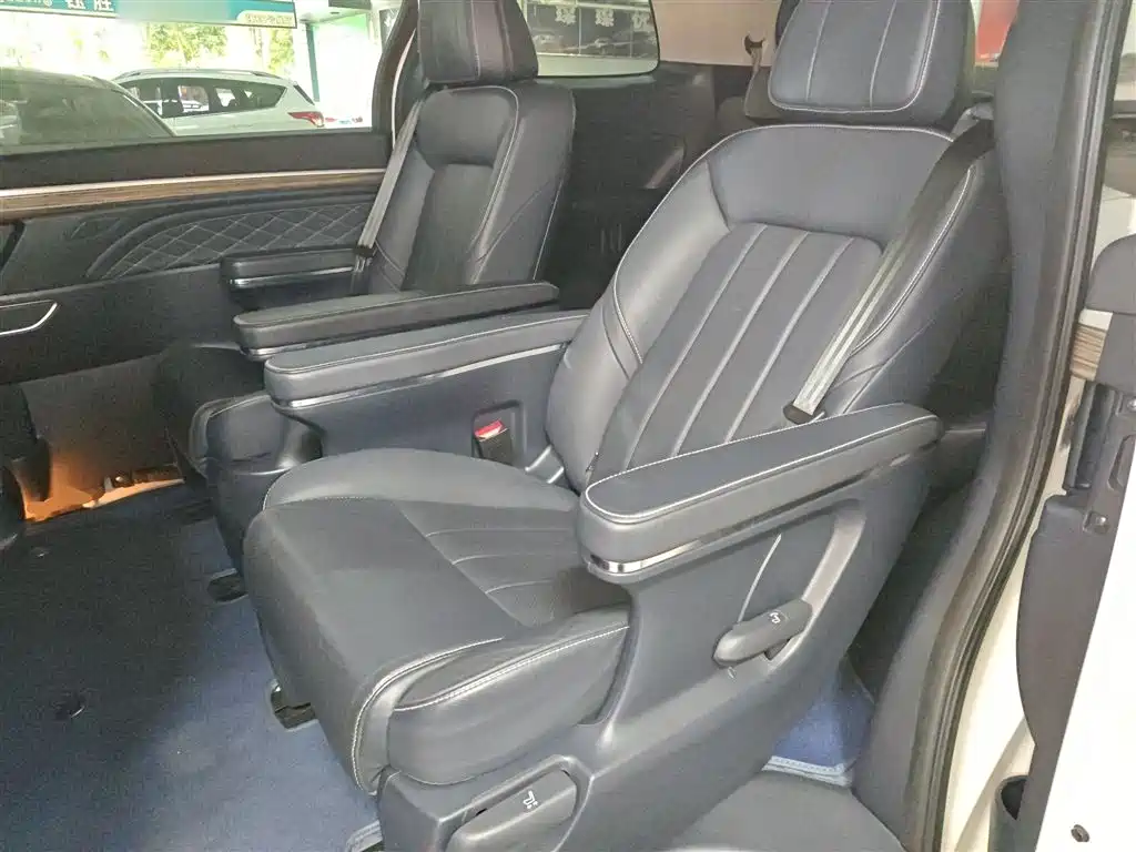 GAC Trumpchi Trumpchi M8 2020 Pilot 390T Premium Edition фото 13