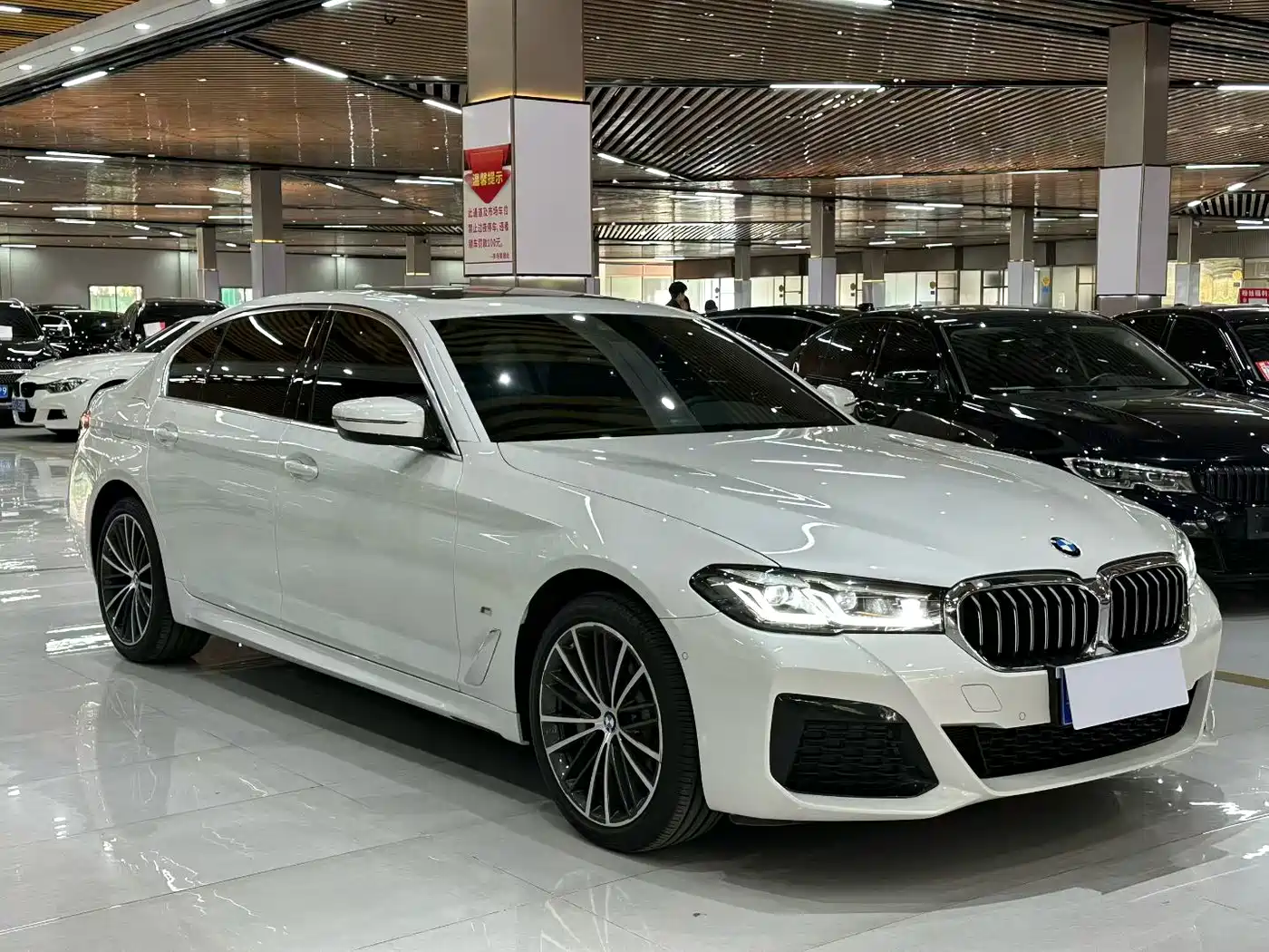 BMW 5 SERIES