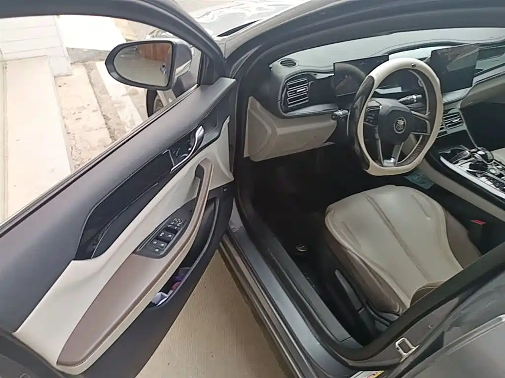 BYD Qin PLUS 2023 Champion Edition DM-i 55KM Leading фото 16