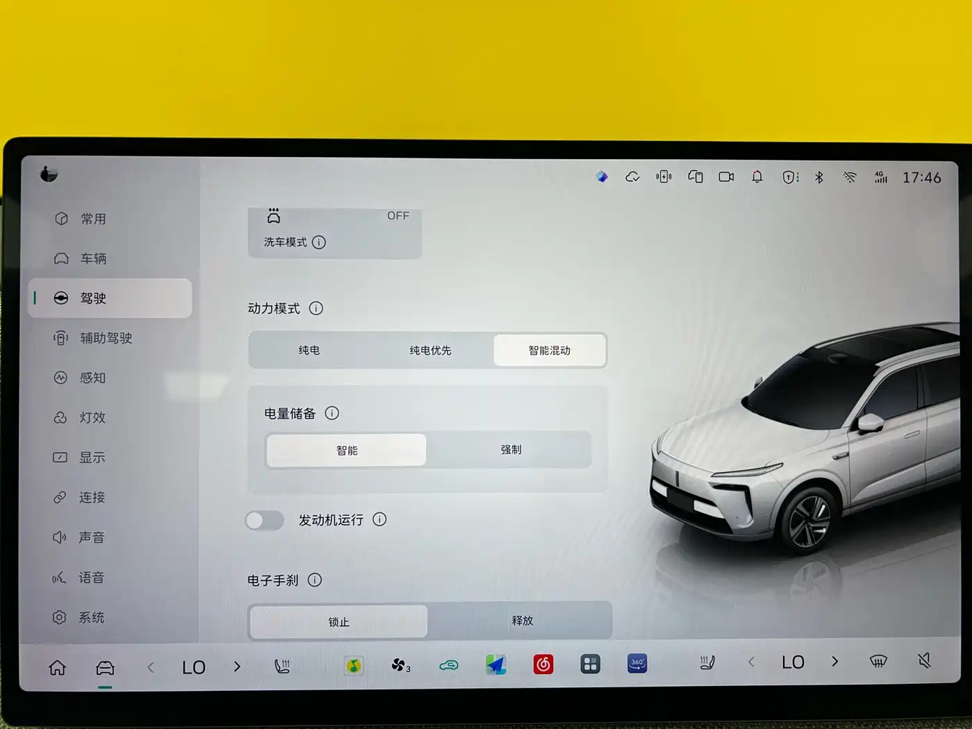 WEI PAI WEI BRAND BLUE MOUNTAIN