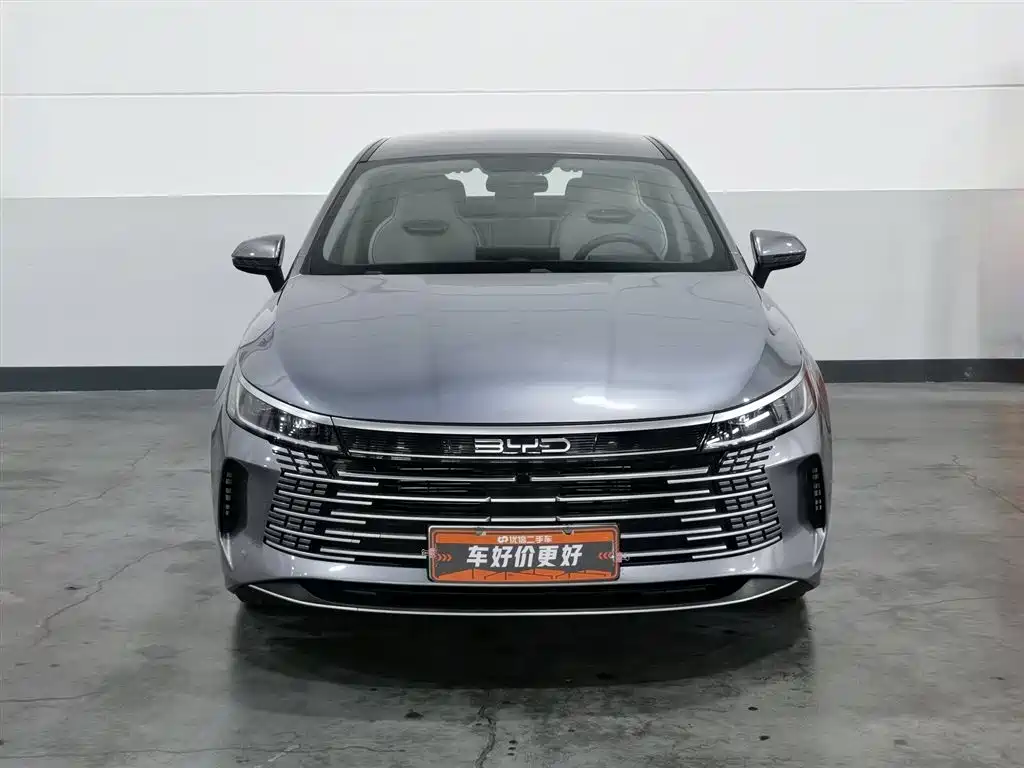 BYD Destroyer 05 2024 Glory Edition DM-i 55KM Luxury фото 3