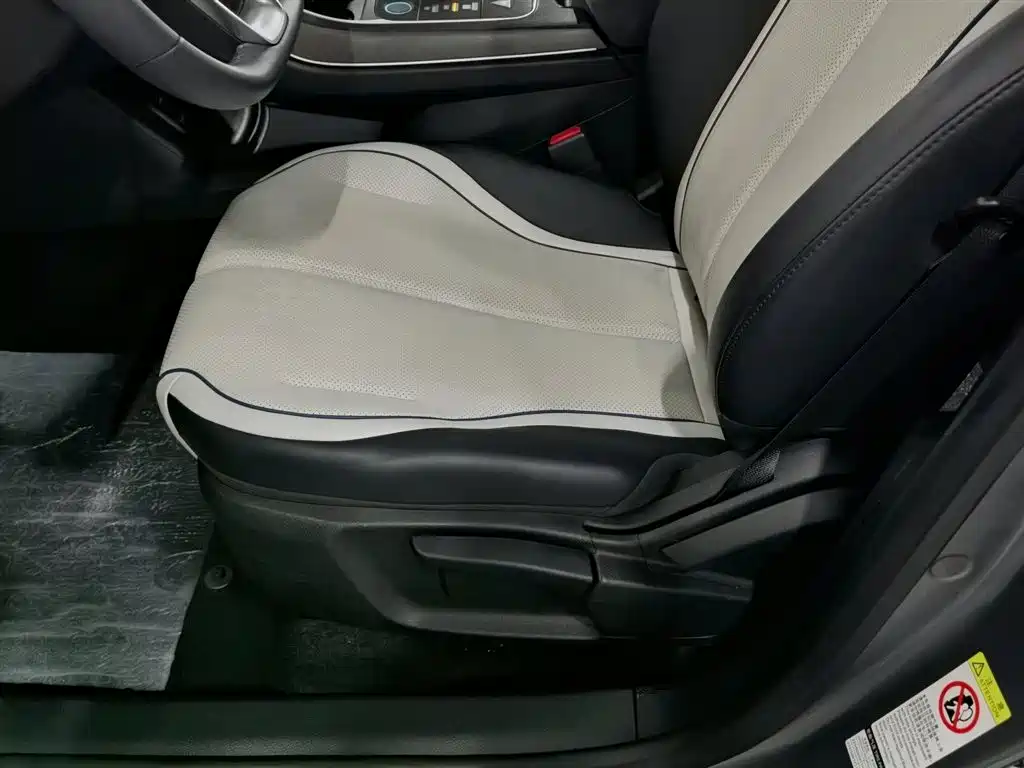 BYD Destroyer 05 2024 Glory Edition DM-i 55KM Luxury фото 20