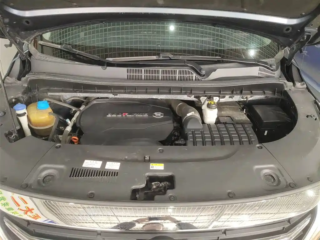 GAC Trumpchi Trumpchi M8 2021 Leading Show Series 390T Prestige Edition фото 16